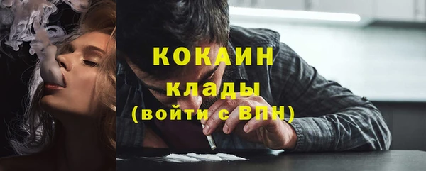шишки Усмань